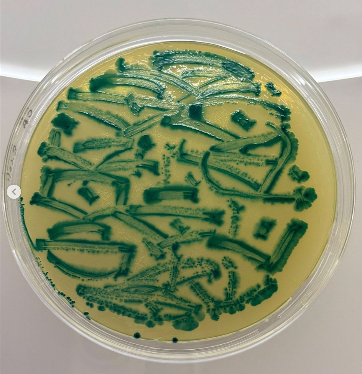 Screenshot 2025-12-01 at 10.31.30 a.m.